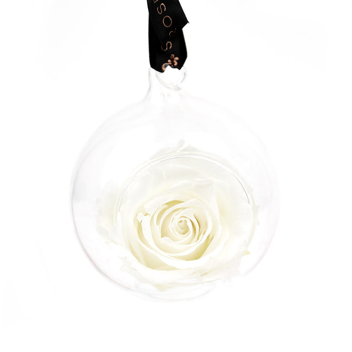 Preserved White Rose Bauble Decoration