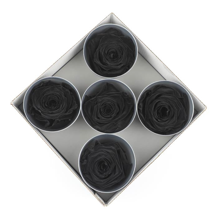 Black Preserved Rose Heads (Pack of 5)