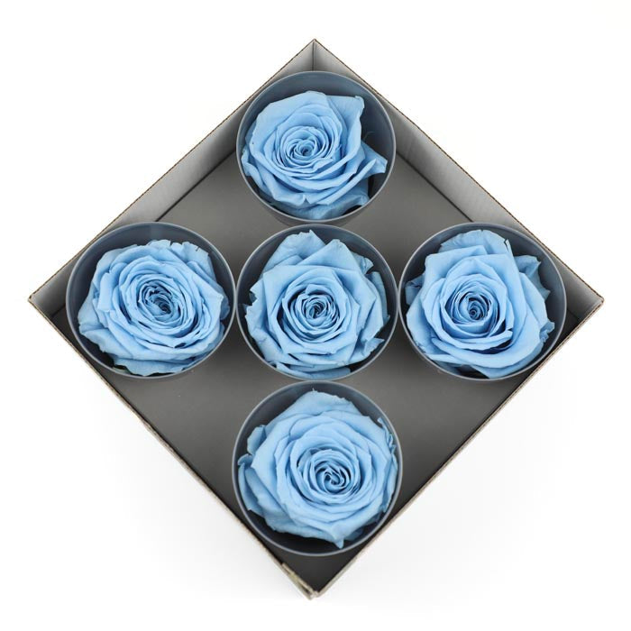 Blue Preserved Rose Heads (Pack of 5)