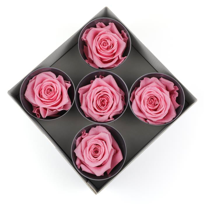 Pink Preserved Rose Heads (Pack of 5)