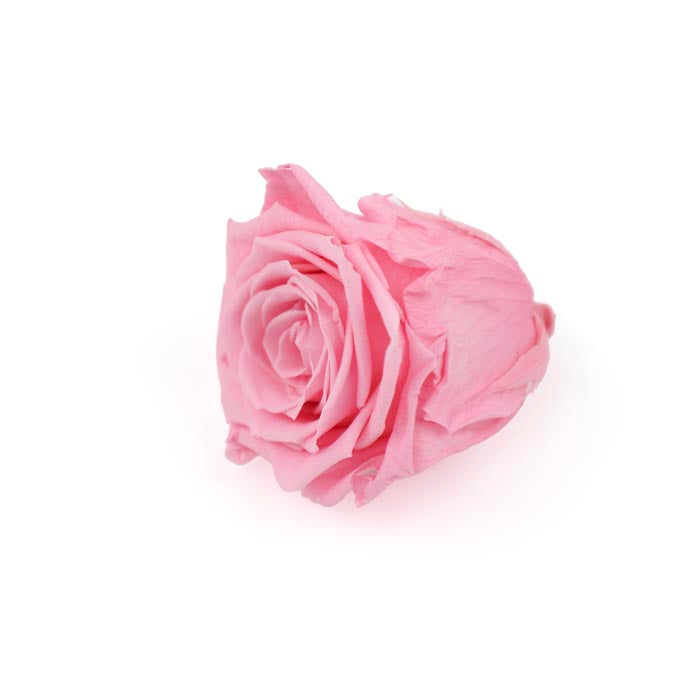 Pink Preserved Rose Heads (Pack of 5)