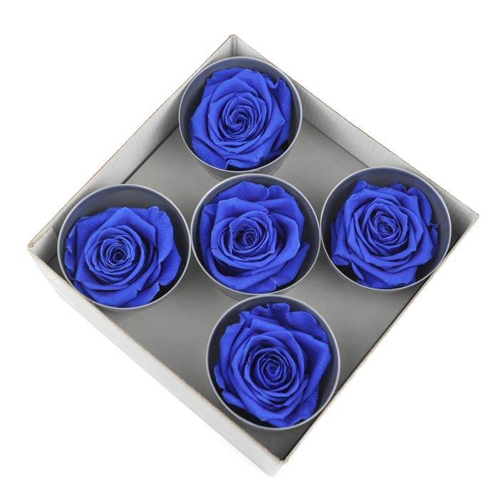 Royal Blue Preserved Rose Heads (Pack of 5)