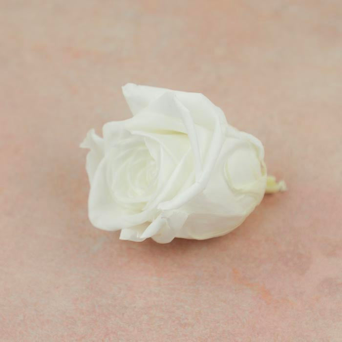 White Blue Preserved Rose Heads (Pack of 5)