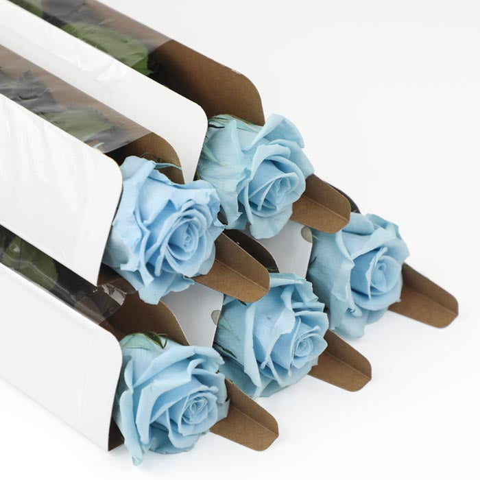 Blue Preserved Rose Stems
