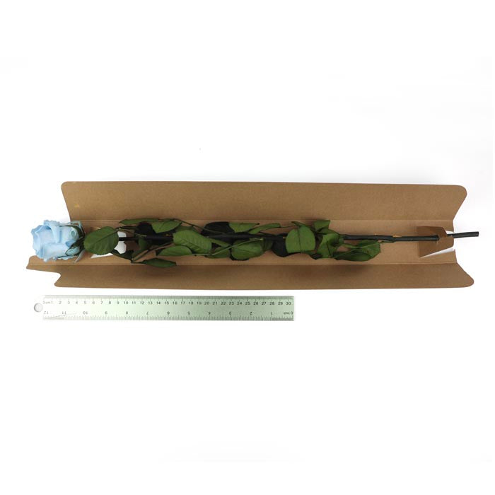 Blue Preserved Rose Stems