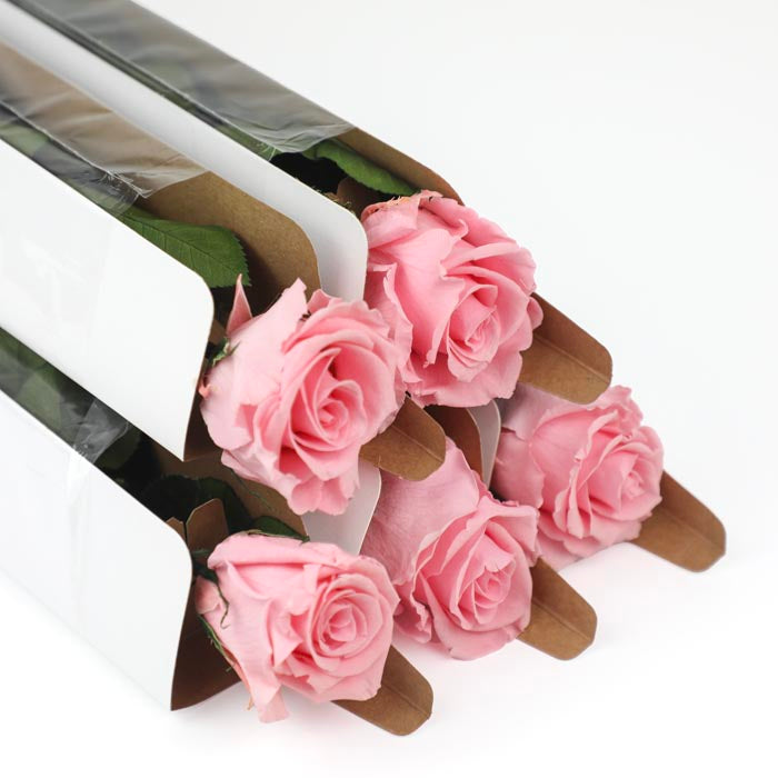 Pink Preserved Rose Stems