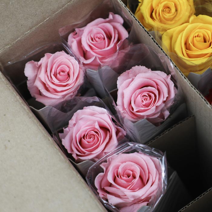 Pink Preserved Rose Stems