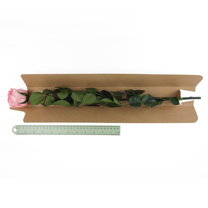 Pink Preserved Rose Stems