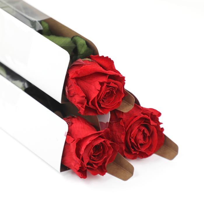 Red Preserved Rose Stems