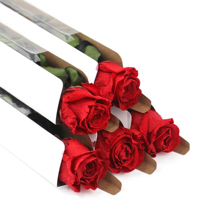 Red Preserved Rose Stems