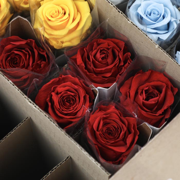 Red Preserved Rose Stems