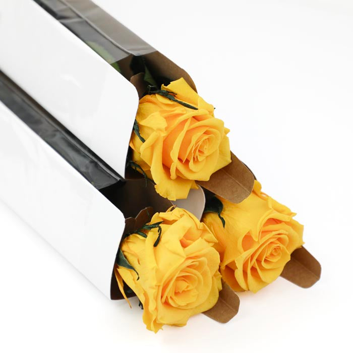 Yellow Preserved Rose Stems