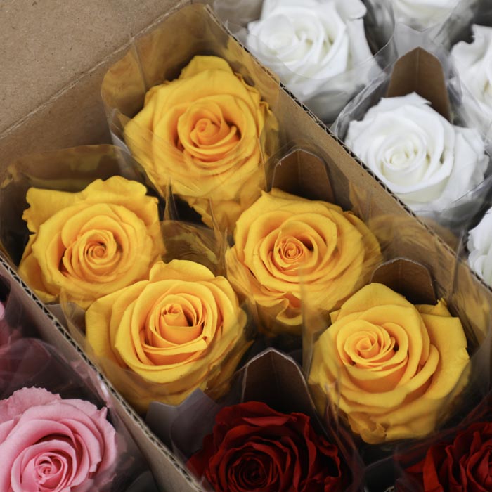 Yellow Preserved Rose Stems