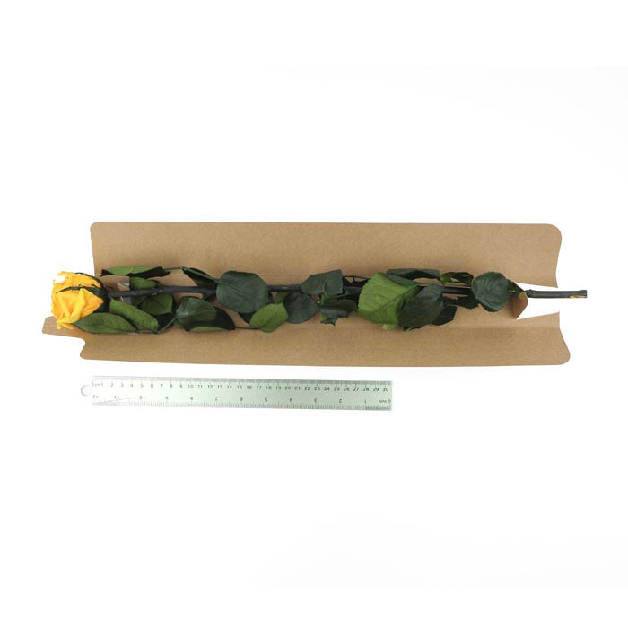 Yellow Preserved Rose Stems