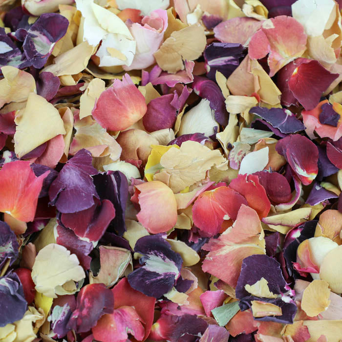 Citrus Rose Mix - Seconds
