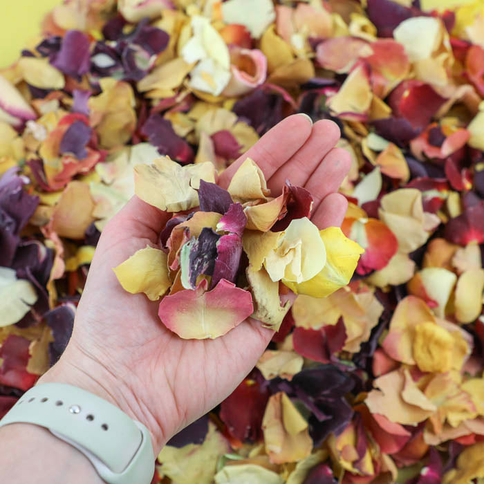 Citrus Rose Mix - Seconds