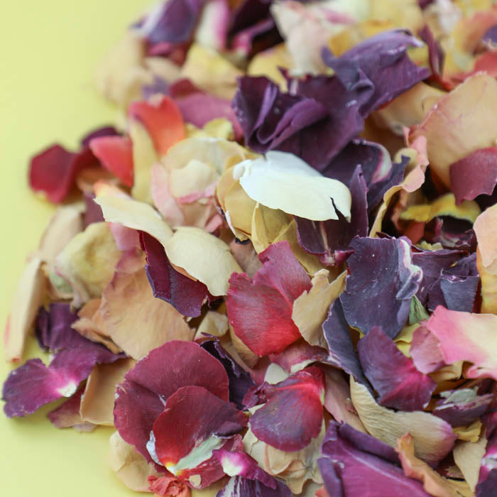 Citrus Rose Mix - Seconds