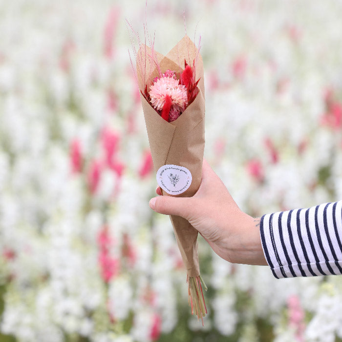 Mini Dried Valentines Bouquet (pack of 10)
