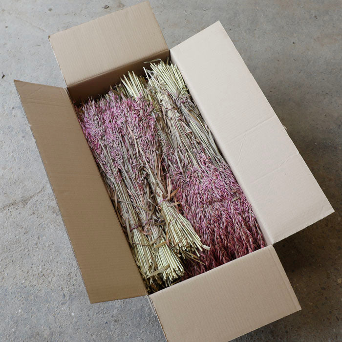 Pink Avena Oats - Box of 20