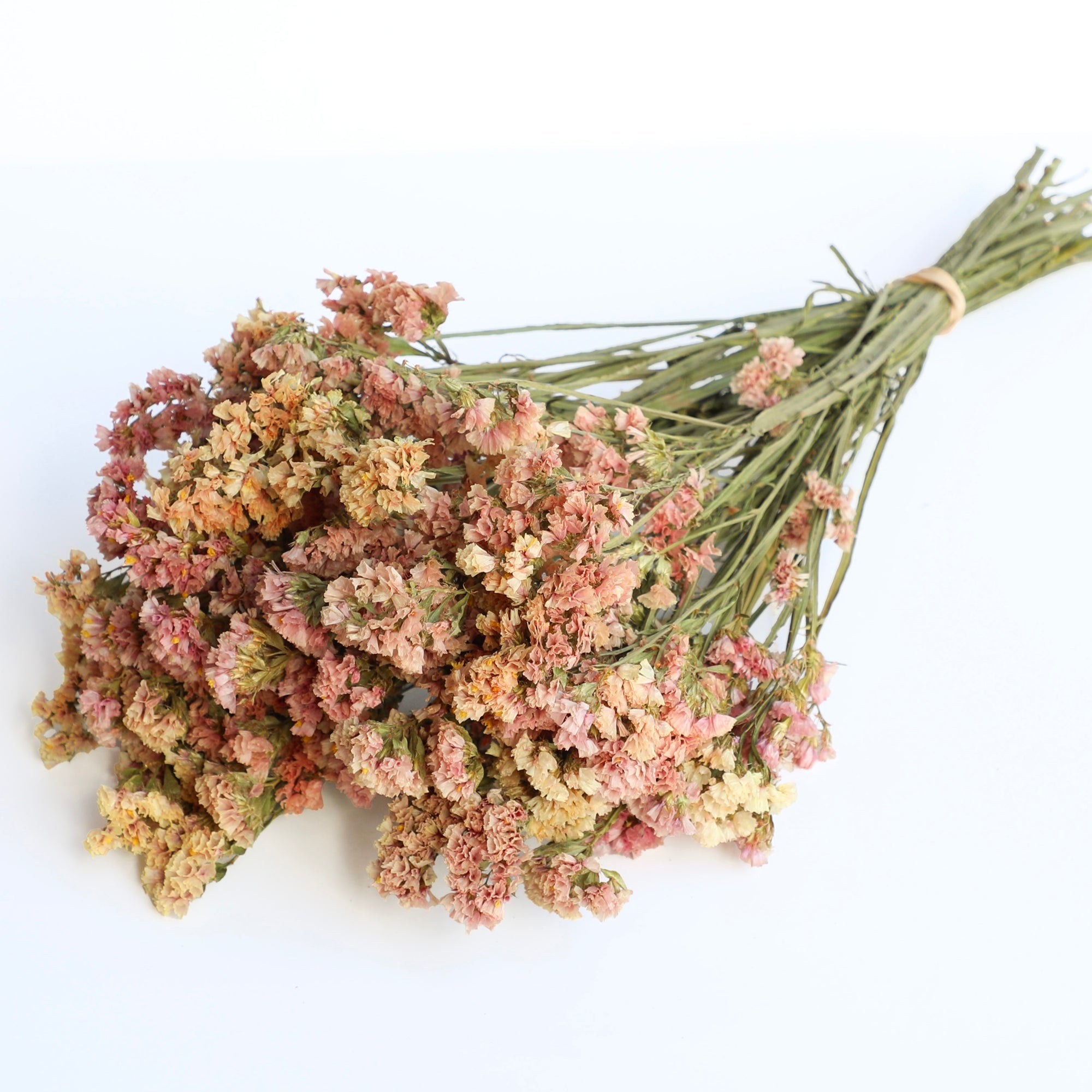 Apricot Statice - Box of 10
