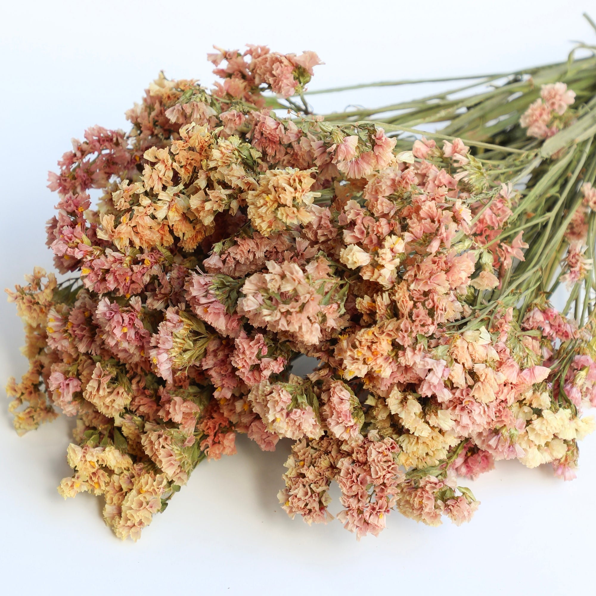 Apricot Statice Bunch