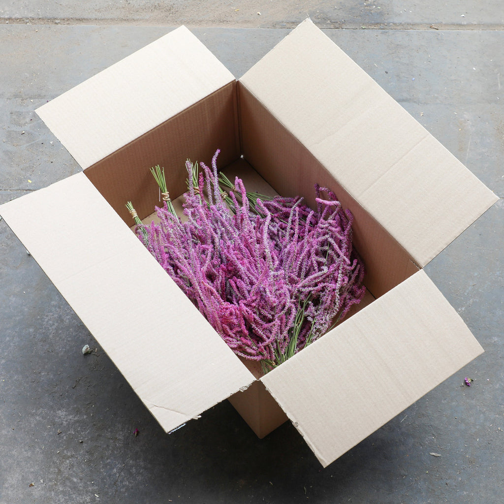 Pink Statice Suworowii Bunch - Box of 12