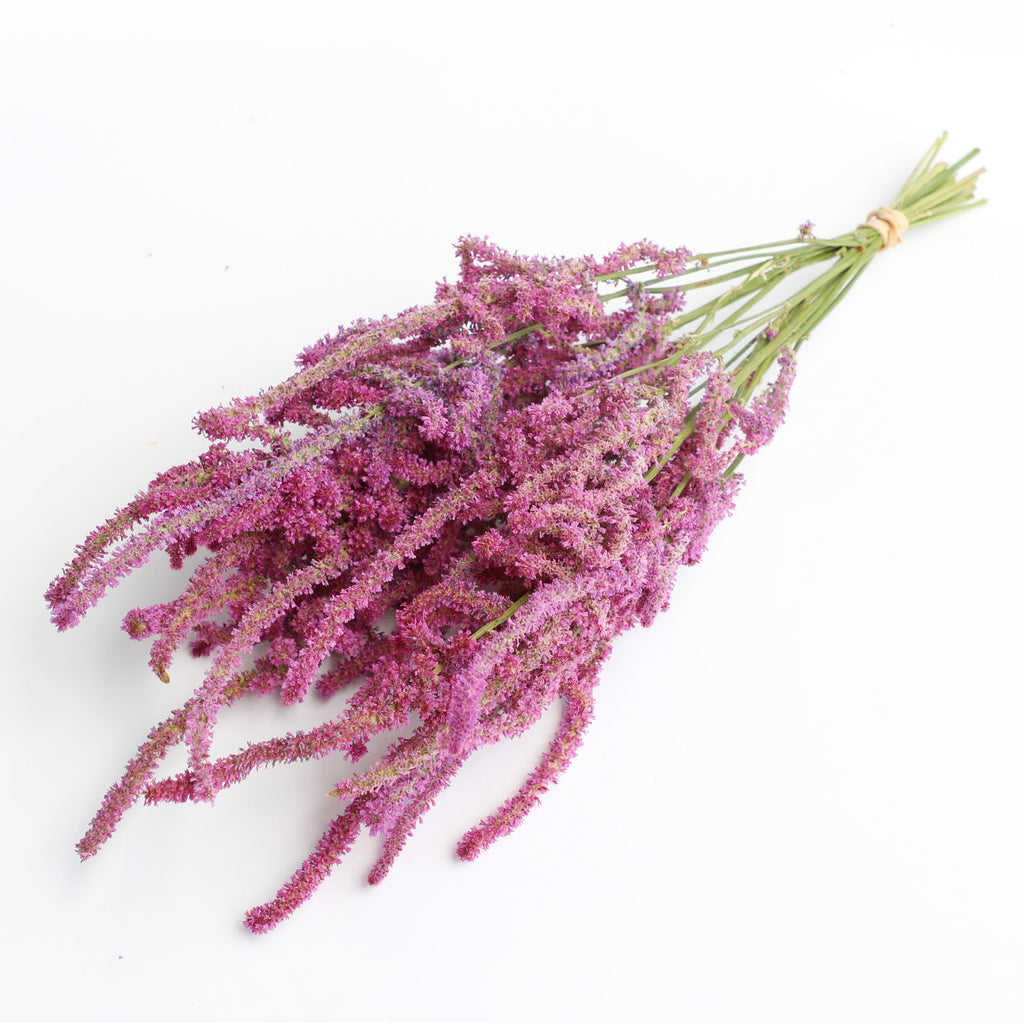 Pink Statice Suworowii Bunch - Box of 12
