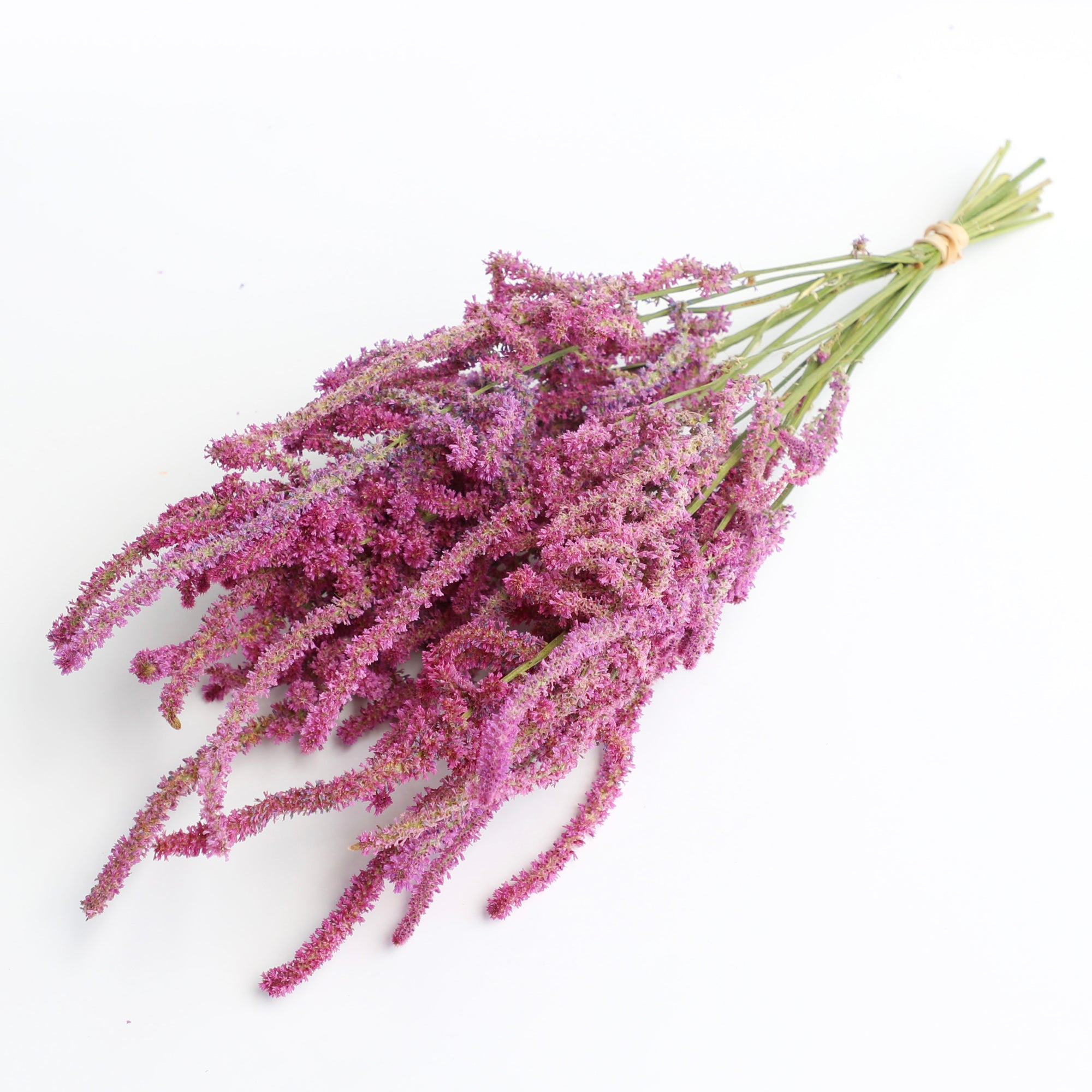 Pink Statice Suworowii Bunch - Box of 12