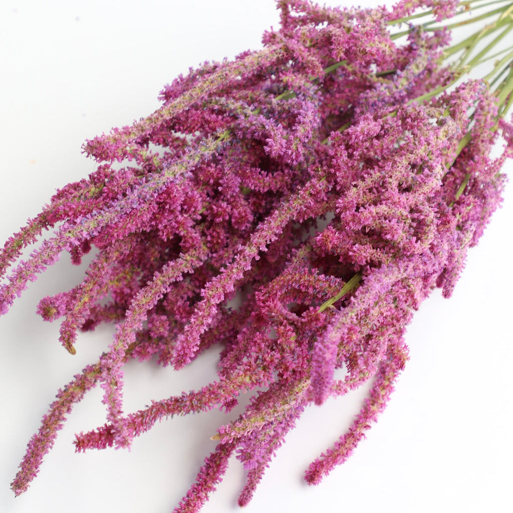 Pink Statice Suworowii Bunch - Box of 12