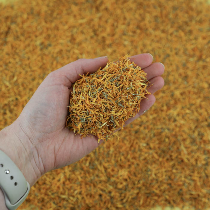 Orange Calendula Petals - Seconds