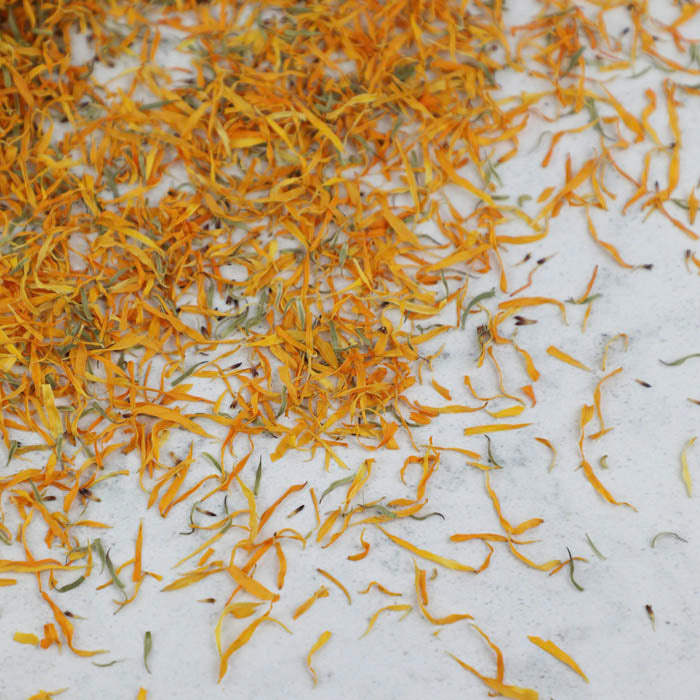 Orange Calendula Petals - Seconds