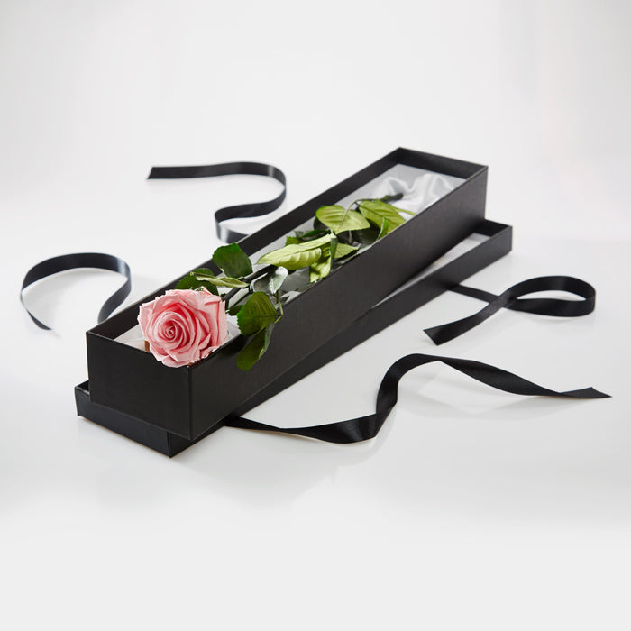 Preserved Pink Rose Stem in black box
