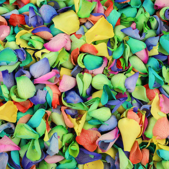 Rainbow Mix (Dyed) Rose Petals