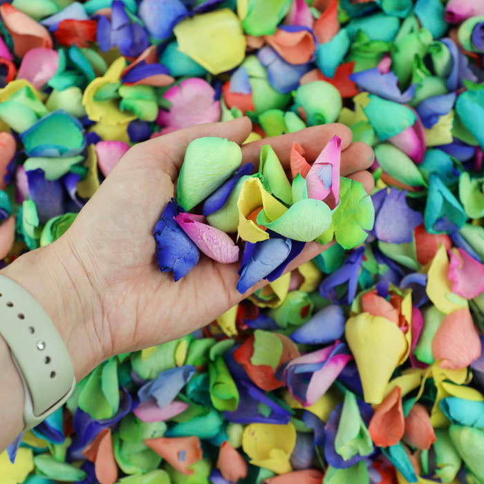 Rainbow Mix (Dyed) Rose Petals