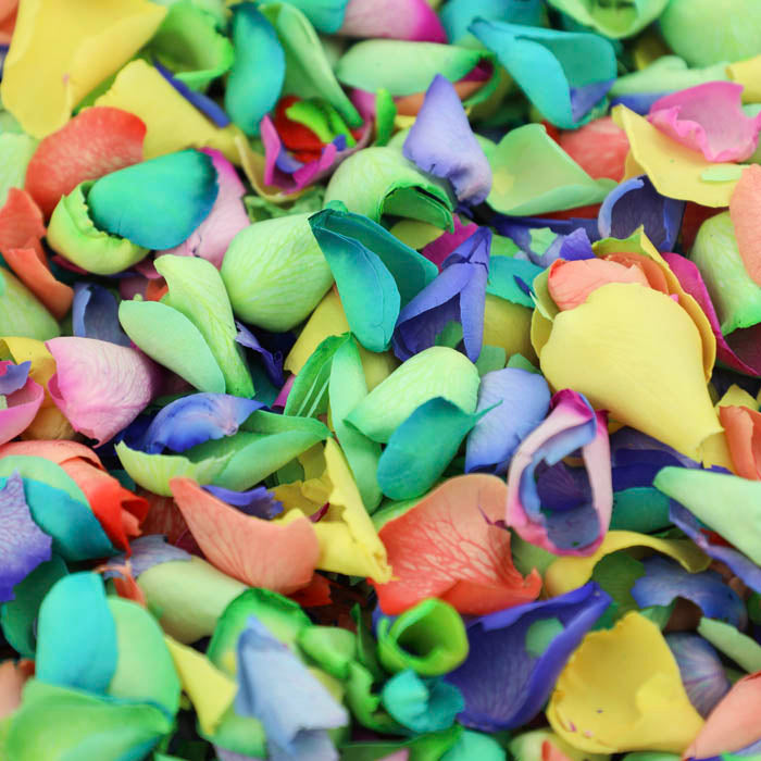 Rainbow Mix (Dyed) Rose Petals