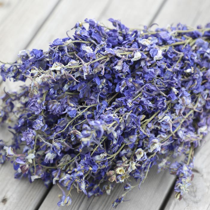 Purple Delphinium Bunch