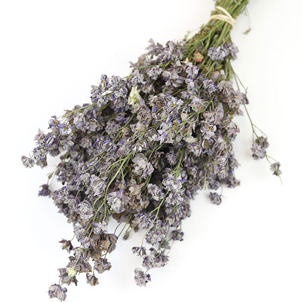Grey Delphinium Bunch - Box of 20