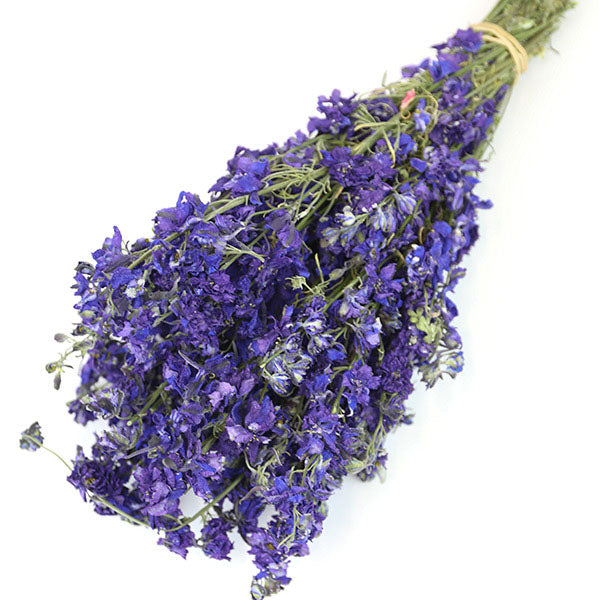 Dark Purple Delphinium Bunch
