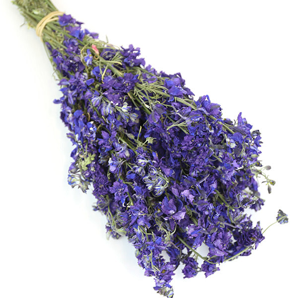 Dark Purple Delphinium Bunch - Box of 20