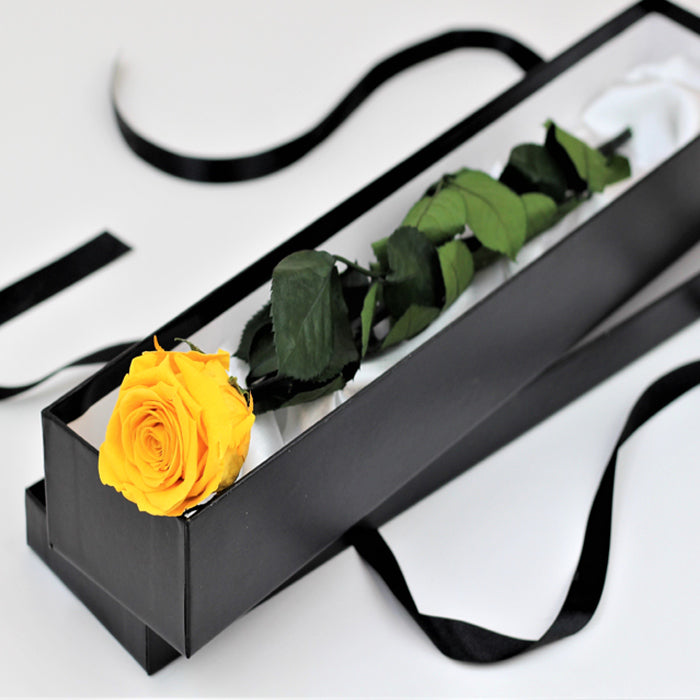 Preserved Yellow Rose Stem in black box